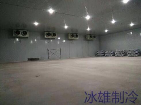 冷庫設(shè)備如何重要，改如何正確的維修呢？